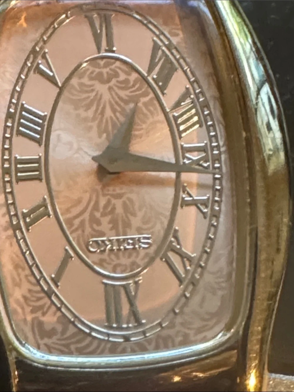 Seiko vintage Silver and Brown Watch